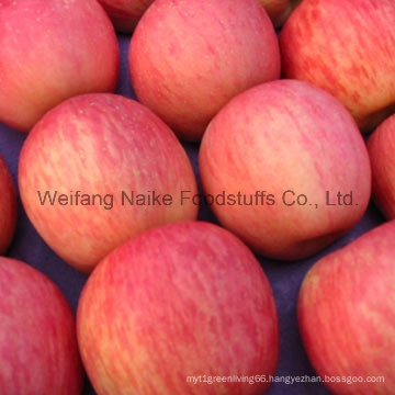 New Crop Fresh Apple/ Chines Fruits of High Quality